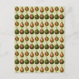 Varieties of Pears Postcard