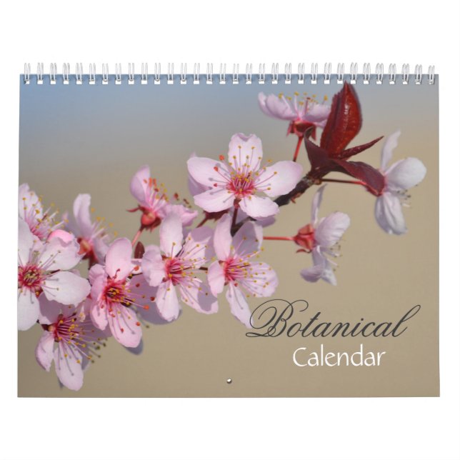 Variety of Flowers  Calendar (Cover)