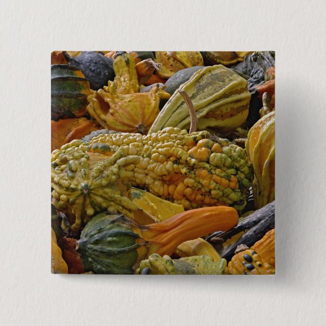 Variety of squash 2 inch square button (Front)