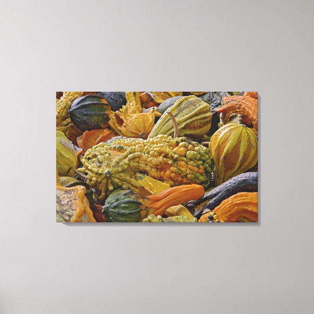 Variety of squash canvas print (Front)