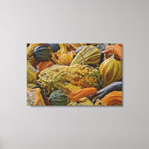 Variety of squash canvas print
