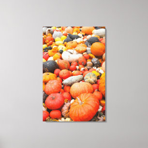 Variety of squash for sale, Germany Canvas Print