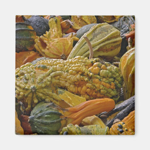 Variety of squash magnet