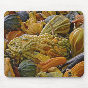 Variety of squash mouse pad
