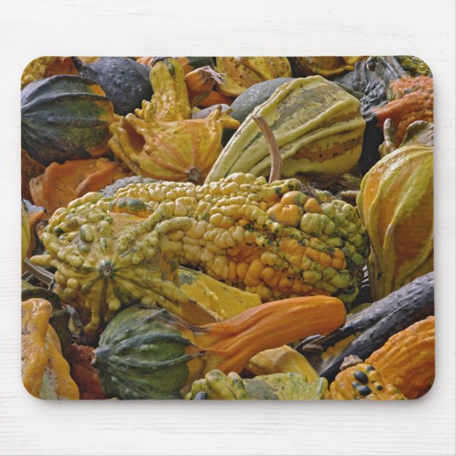 Variety of squash mouse pad (Front)