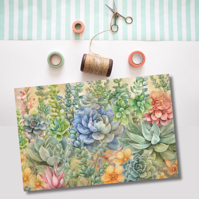 Variety Of Succulents Tissue Paper (Creator Uploaded)
