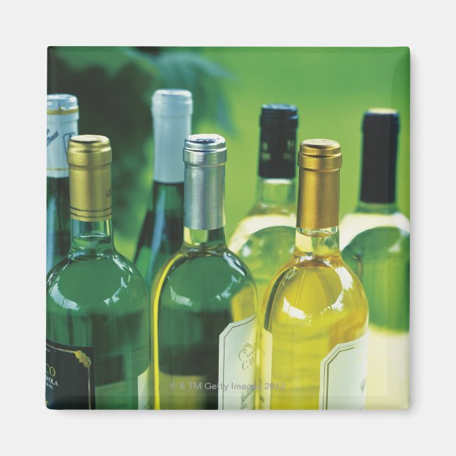 Variety of wine bottles magnet (Front)