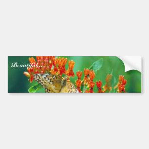 Varigated fritillary on Butterfly weed Bumper Sticker