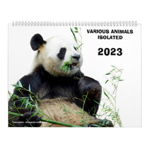 Various animals isolated 2023 calendar