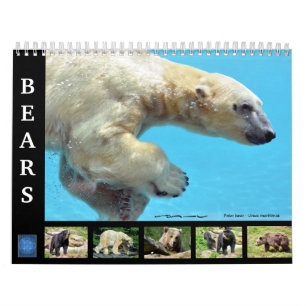 Various bears 12 month calendar