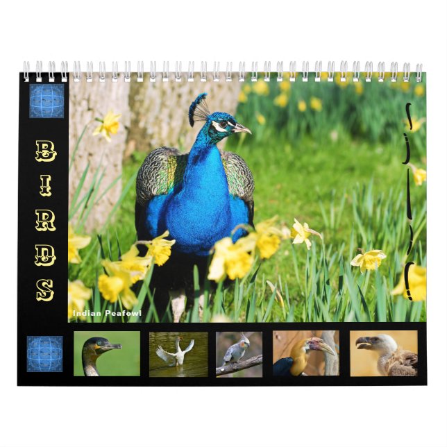 Various birds 12 month calendar (Cover)