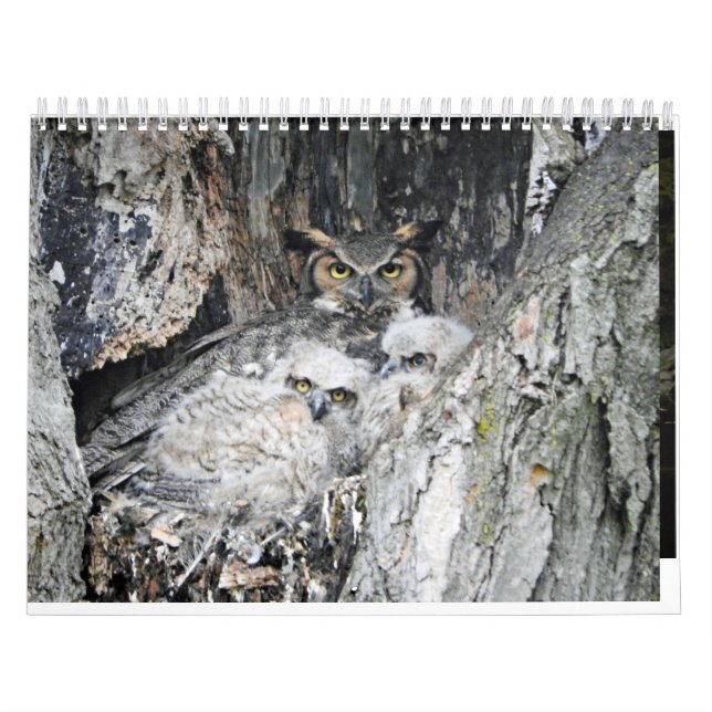 Various Birds and Ducks Calendar (Cover)