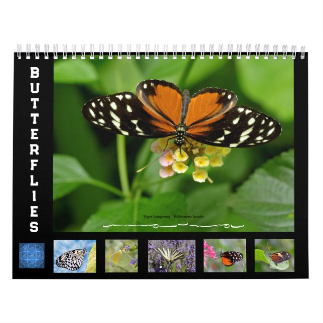 Various butterflies 12 month calendar (Cover)