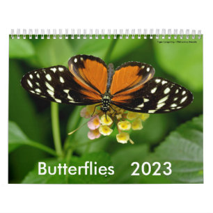 Various butterflies calendar