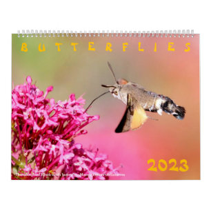 Various butterflies for calendar 2023