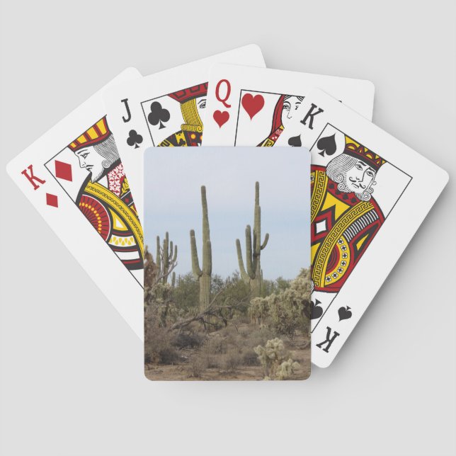 Various Cacti Playing Cards (Back)