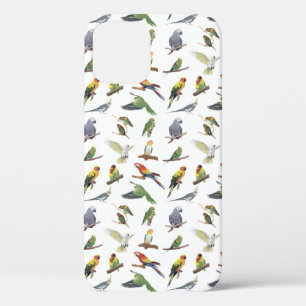 Various Colourful Parrots iPhone 12 Case