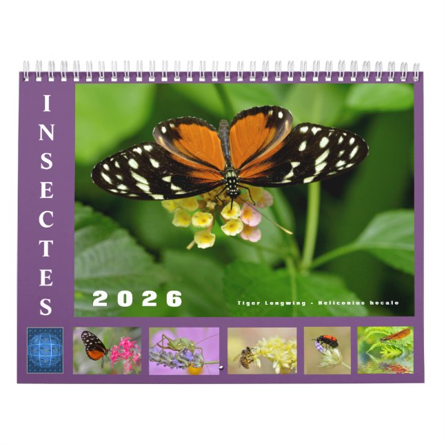 Various insects 12 month calendar (Cover)