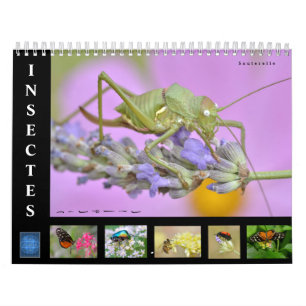 Various insects 12 month calendar