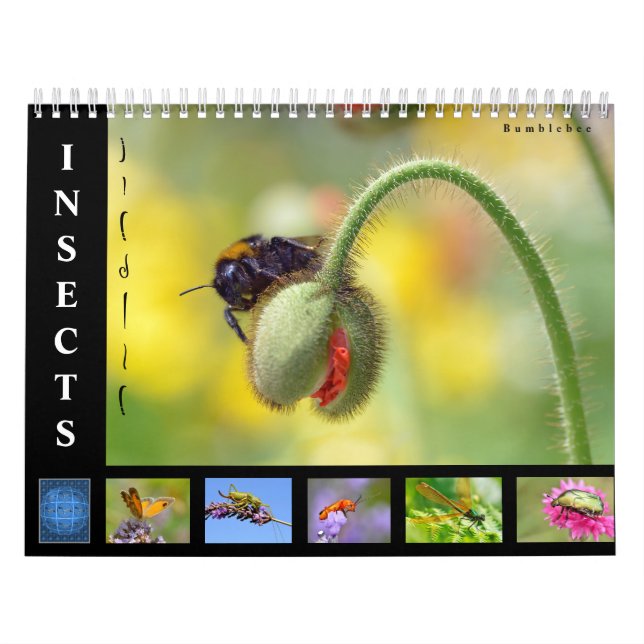 Various insects 12 month calendar (Cover)