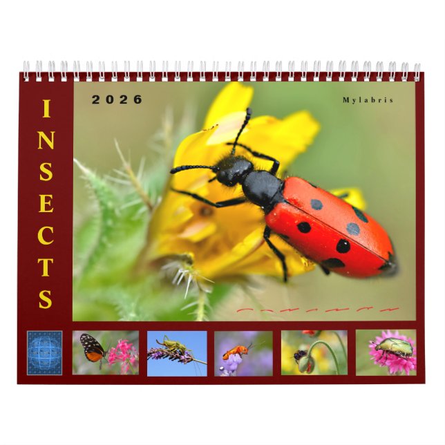 Various insects 12 month calendar (Cover)