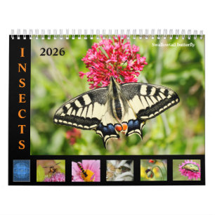 Various insects and flowers 12 month calendar