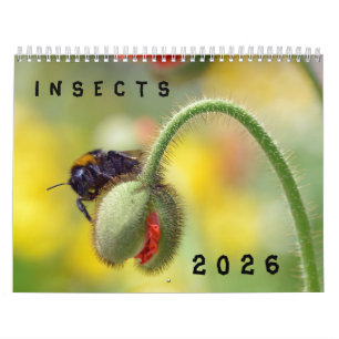 Various insects calendar