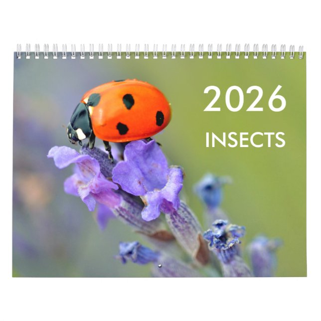 Various insects for calendar of 2023 (Cover)