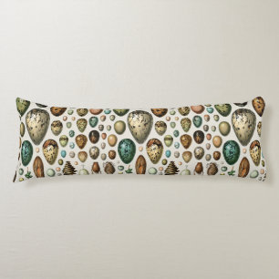 Various kinds of Egg Scientific Illustration Body Pillow
