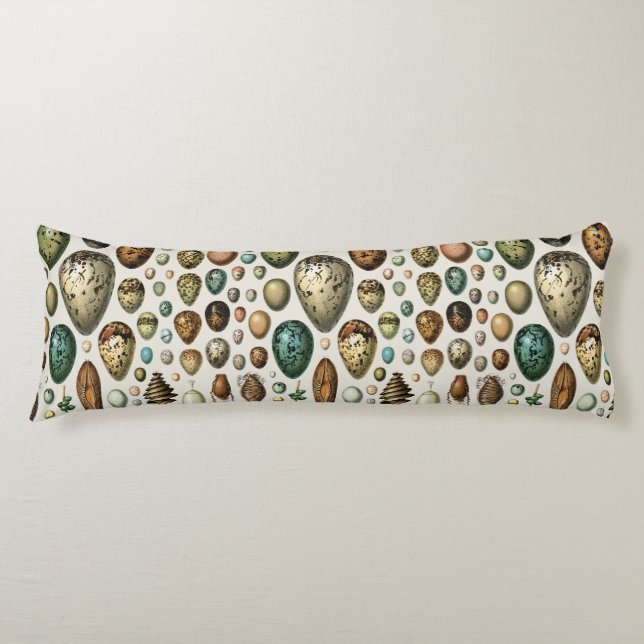 Various kinds of Egg Scientific Illustration Body Pillow (Front)