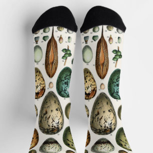 Various kinds of Egg Scientific Illustration Socks