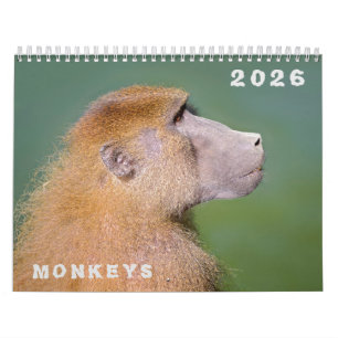 Various monkeys calendar