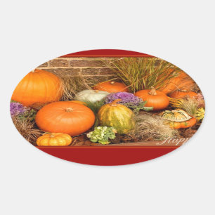 Various pumpkins oval sticker