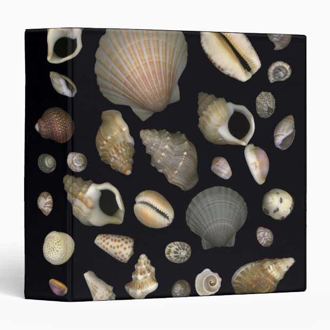 Various sea shells binder (Front/Spine)