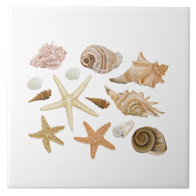 Various seashells starfish tile (Front)
