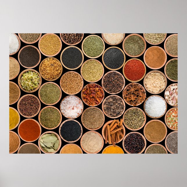 Various spices and food ingredients poster (Front)