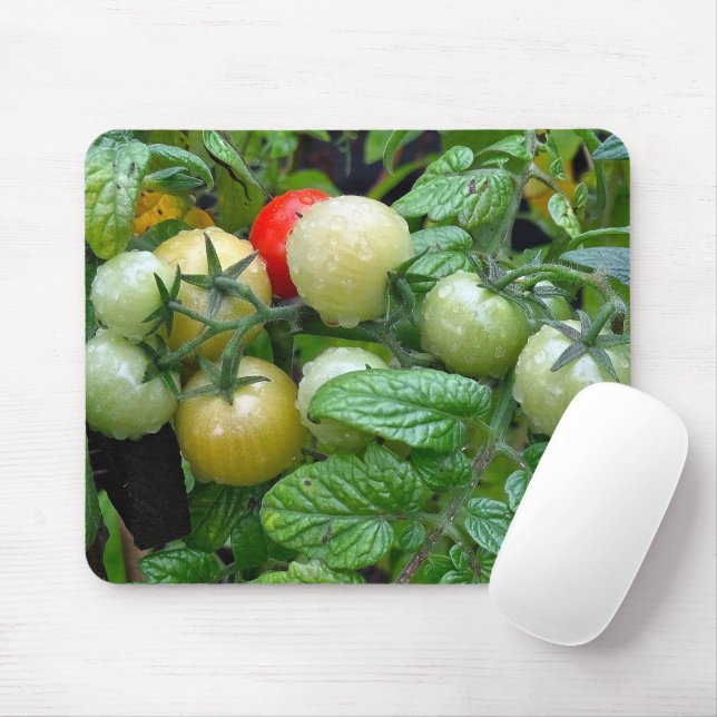 Various Stages of Ripening Cherry Tomatoes Mouse Pad (With Mouse)