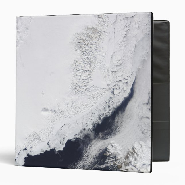 Various types of sea ice binder (Front/Inside)
