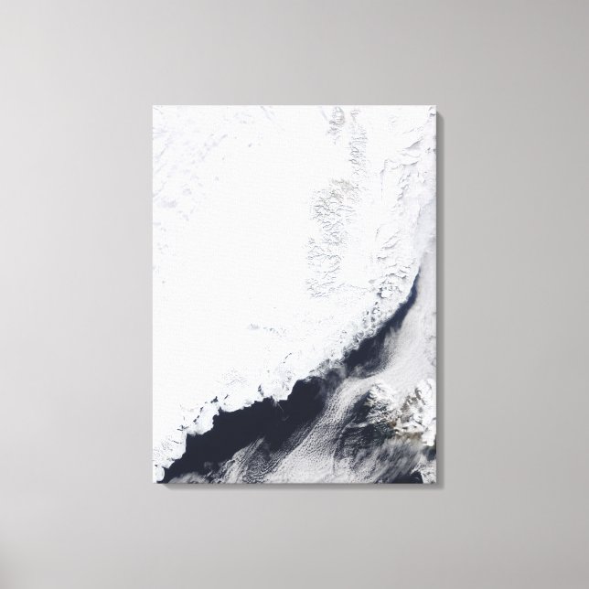 Various types of sea ice canvas print (Front)