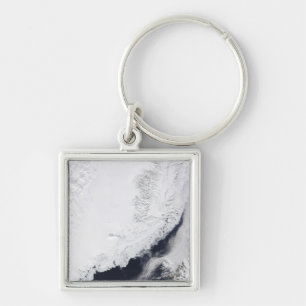 Various types of sea ice keychain