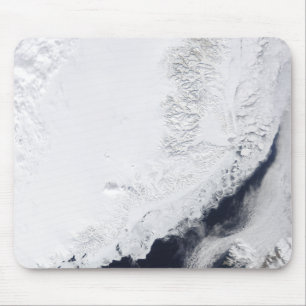 Various types of sea ice mouse pad