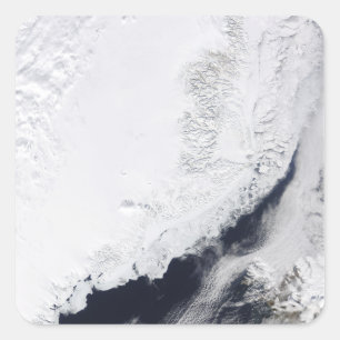 Various types of sea ice square sticker