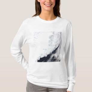 Various types of sea ice T-Shirt