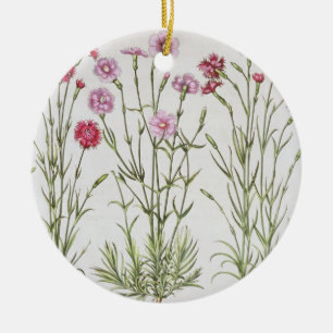Various varieties of Dianthus, from the 'Hortus Ey Ceramic Ornament