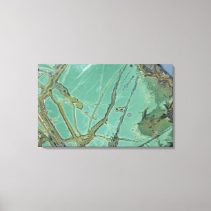 Variscite Canvas Print