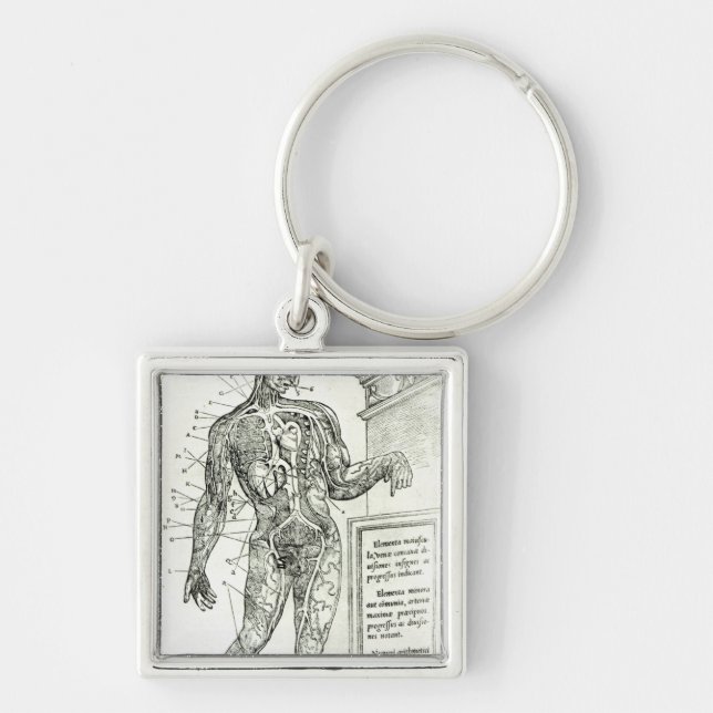 Vascular System according to Charles Etienne Keychain (Front)