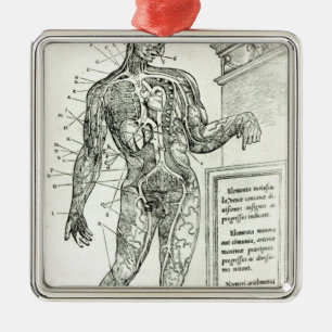 Vascular System according to Charles Etienne Metal Ornament