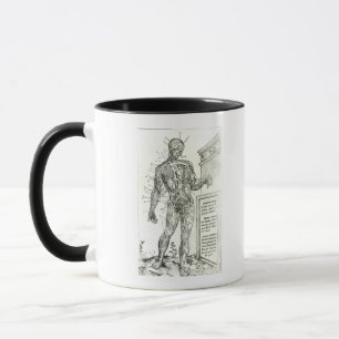 Vascular System according to Charles Etienne Mug