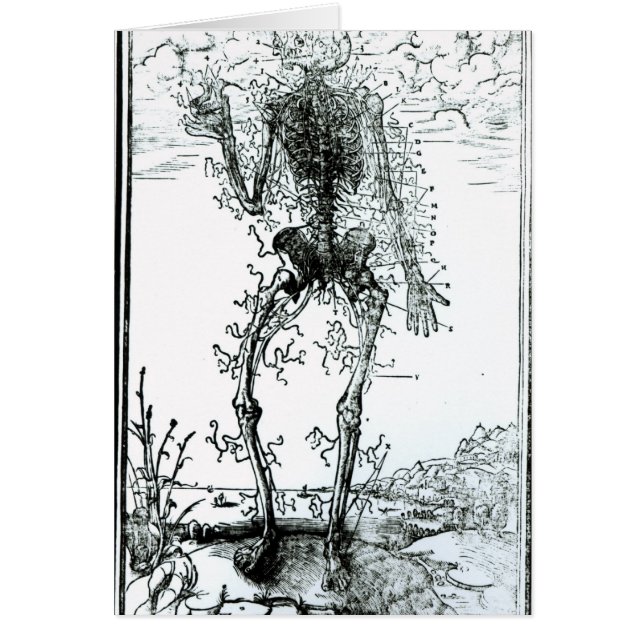 Vascular System of the Body (Front)