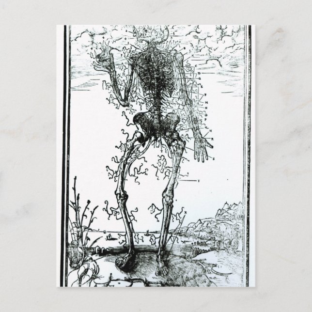 Vascular System of the Body Postcard (Front)
